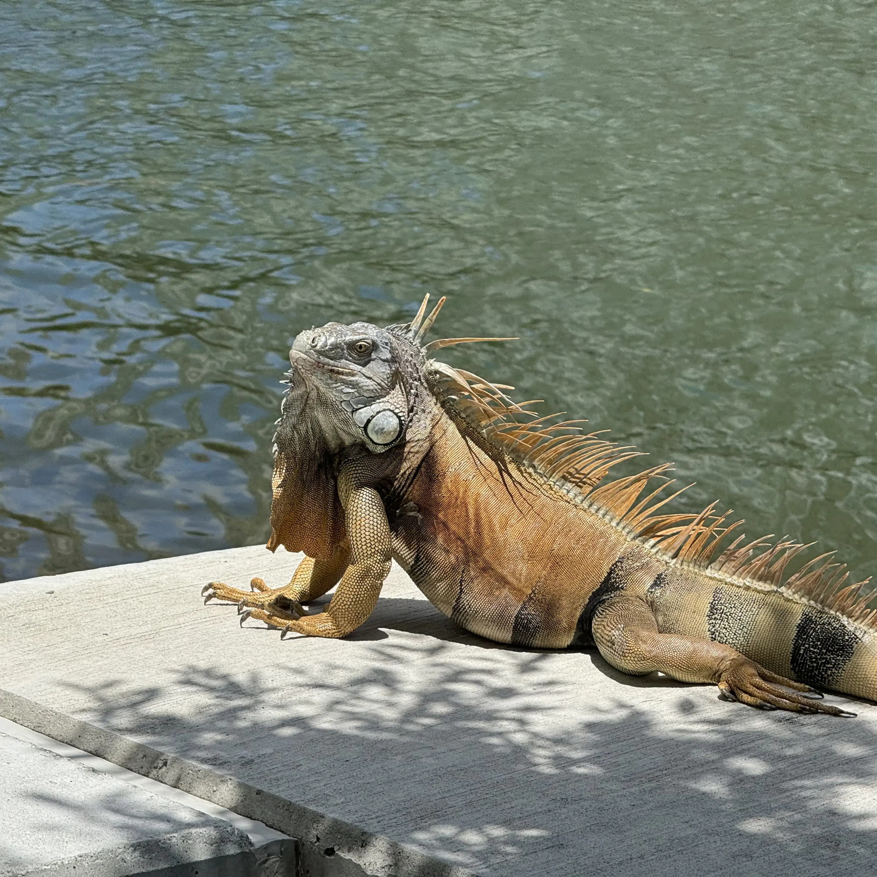 As private jet flights rebound, the routes they are flying have changed