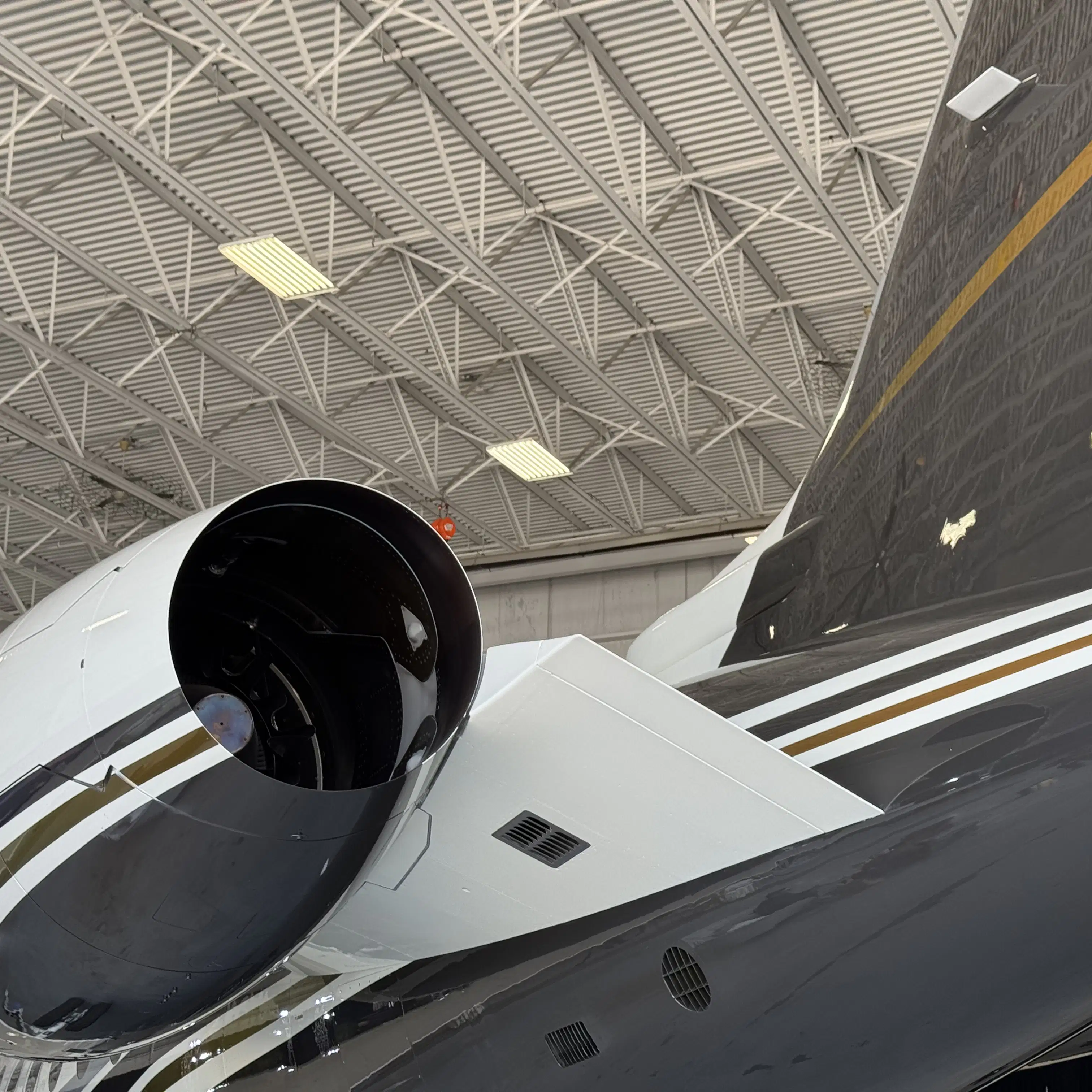 Embry Riddle Jet Flexjet's Ricci established two endowments at Embry‑Riddle