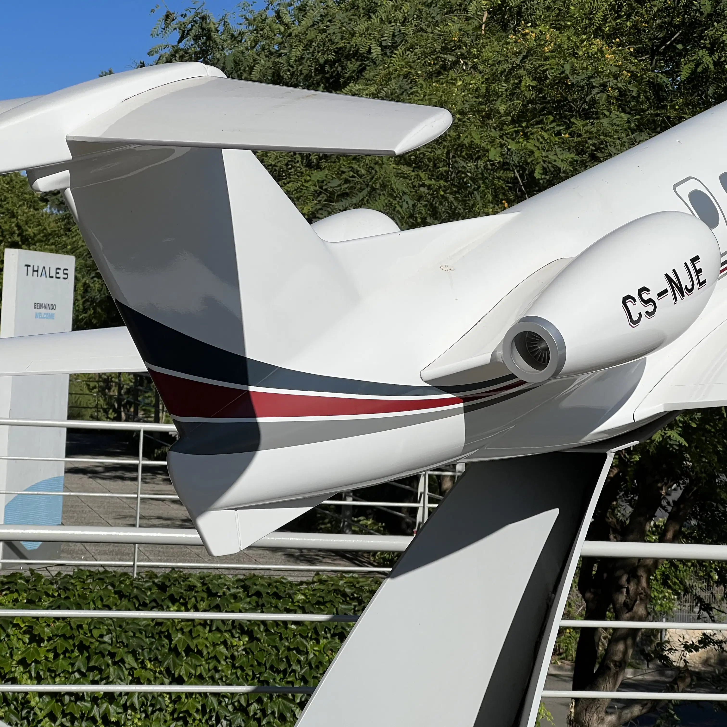 New research reveals the latest private aviation trends