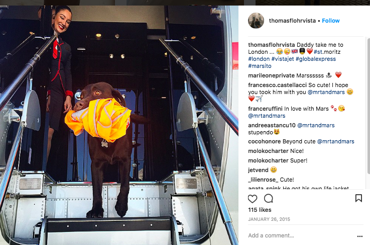 VistaJet owner Thomas Flohr's dog on a private jet