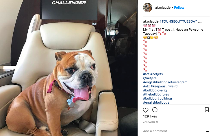 Screen Shot 2018-05-26 at 3.18.49 PM