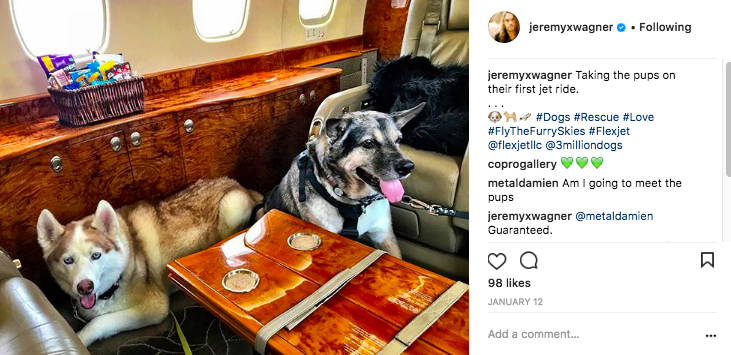 Two dogs fly on Flexjet 