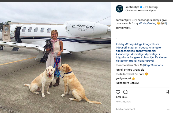 Dogs on Sentient Jet