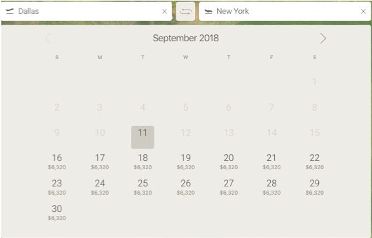 Dallas New York private jet charter cost